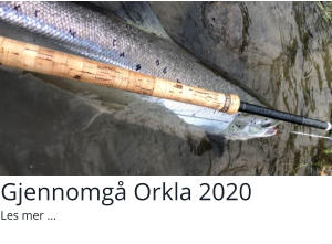 Gjennomgå Orkla 2020 Les mer ...