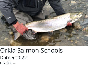 Orkla Salmon Schools Datoer 2022 Les mer ...