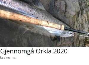 Gjennomgå Orkla 2020 Les mer ...