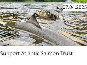 Support Atlantic Salmon Trust  07.04.2025