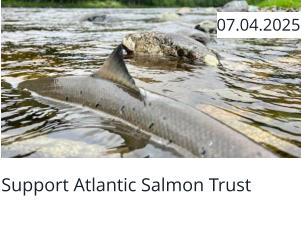 Support Atlantic Salmon Trust  07.04.2025