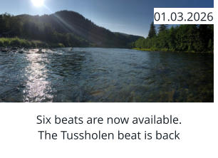 Six beats are now available. The Tussholen beat is back  01.03.2026
